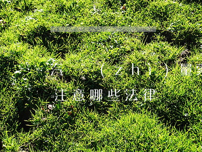 汽車質(zhì)量索賠應(yīng)該注意哪些法律問題
