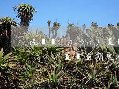 汽車購(gòu)置稅逾期罰款（新車購(gòu)置稅逾期要不要罰款）