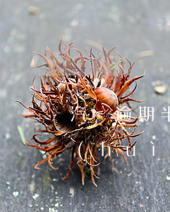 汽車逾期半個(gè)月驗(yàn)車會(huì)處罰嗎