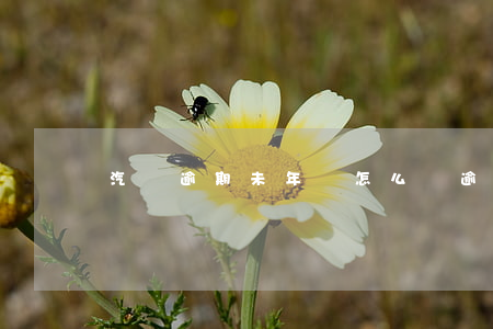 汽車逾期未年審怎么辦（逾期未審車怎么處理）