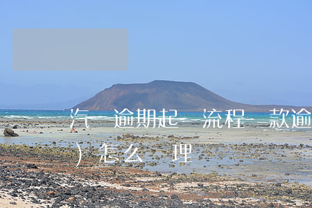 汽車逾期起訴流程(車款逾期法院會(huì)怎么處理)