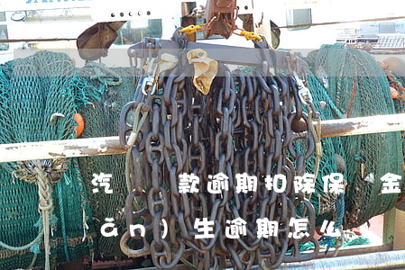 汽車還款逾期扣除保證金(車輛還款產(chǎn)生逾期怎么辦)