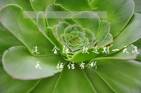 汽車金融貸款逾期一天(汽車金融貸款逾期一天對征信有影響嗎)