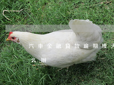 汽車金融貸款逾期幾天(車貸金融逾期一天怎么辦)