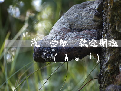 汽車金融貸款逾期拖車(吉利金融車貸逾期拖車會(huì)電話通知車主嗎)