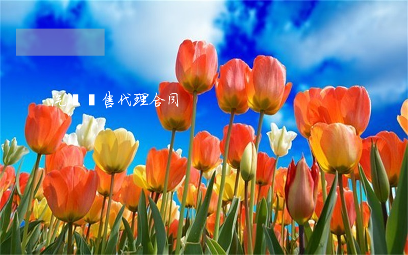汽車銷售代理合同