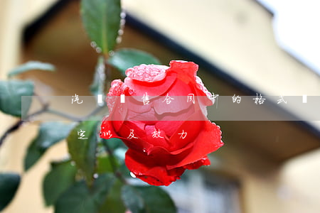 汽車銷售合同中的格式條款的認(rèn)定以及效力