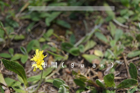 汽車關(guān)稅稅率有哪些