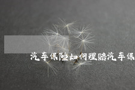 汽车保险如何理赔(汽车保险如何理赔车衣)