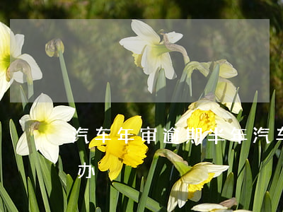汽车年审逾期半年(汽车逾期半年未年审怎么办)