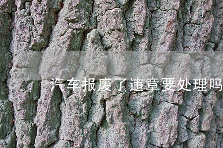 汽车报废了违章要处理吗