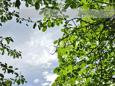 汽车有违法可以考驾驶证吗(名下有车有违章可以考驾照吗)