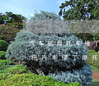 汽车被摩托车撞了对方全责怎么赔偿(摩托车把汽车撞了摩托车全责)