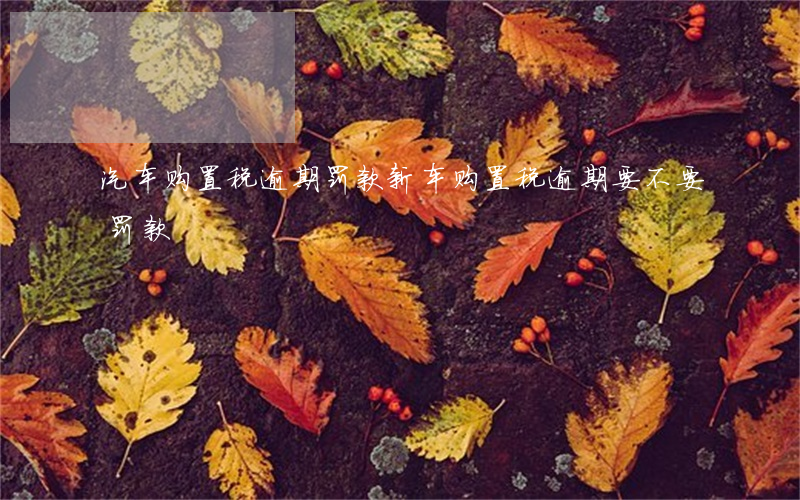 汽车购置税逾期罚款（新车购置税逾期要不要罚款）