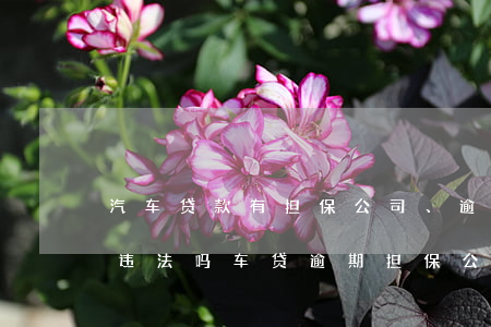 汽车贷款有担保公司、逾期不还第三方拖车违法吗（车贷逾期担保公司代还会被拖车吗）