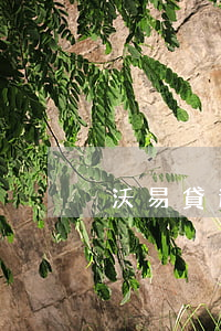 沃易貸逾期三天還款有事嗎(沃易貸逾期倆天)