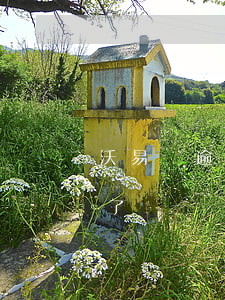 沃易貸逾期二天還款了(沃易貸逾期二天還款了)