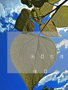 沃錢包借3000逾期一年怎么辦-沃錢包借錢逾期幾天上征信