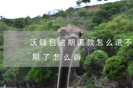 沃錢包逾期還款怎么還不上（沃錢包借錢了逾期了怎么辦）