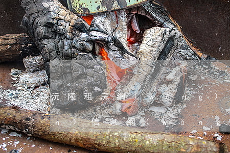 沅陵租房網(wǎng)(沅陵房產(chǎn)信息網(wǎng))