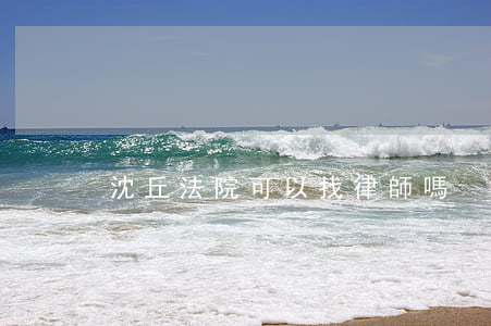 沈丘法院可以找律師嗎?