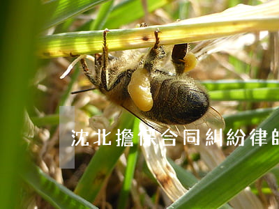 沈北擔保合同糾紛律師(沈陽合同糾紛)