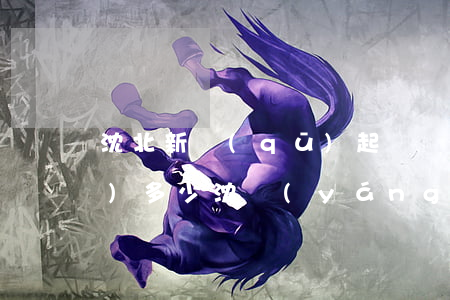 沈北新區(qū)起訴離婚起訴費(fèi)多少(沈陽(yáng)離婚財(cái)產(chǎn)糾紛)