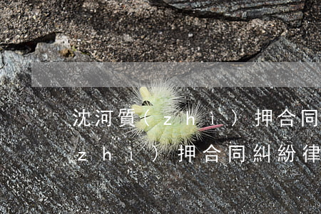 沈河質(zhì)押合同糾紛律師(沈河質(zhì)押合同糾紛律師)