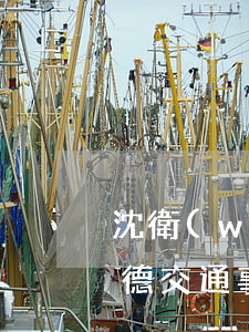 沈衛(wèi)德交通事故(沈衛(wèi)德交通事故)