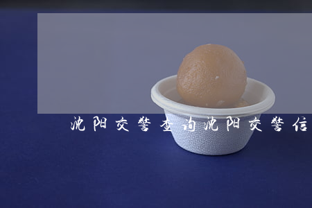 沈阳交警查询(沈阳交警信息网查询)