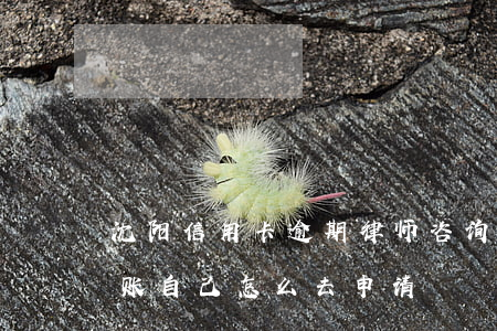 沈阳信用卡逾期律师咨询免费律师-停息挂账自己怎么去申请