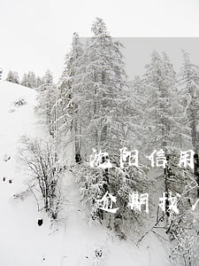 沈阳信用卡逾期找人办理信用卡(沈阳信用卡逾期找人办理信用卡)