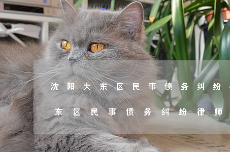沈阳大东区民事债务纠纷律师收费-沈阳大东区民事债务纠纷律师收费多少