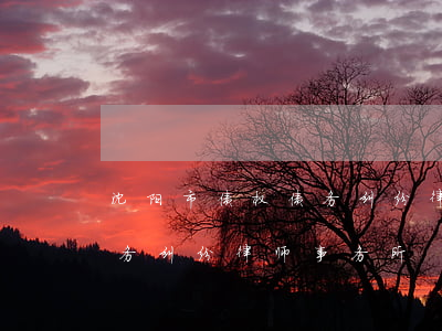沈阳市债权债务纠纷律师咨询免费-沈阳债务纠纷律师事务所