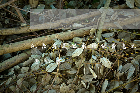 沈阳房屋继承公证费怎么收(沈阳房产公证收费标准)