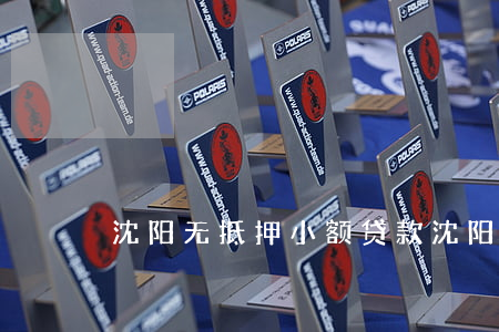 沈阳无抵押小额贷款(沈阳无抵押小额贷款)