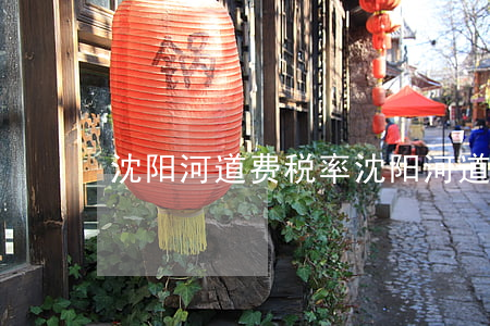 沈阳河道费税率(沈阳河道费税率)