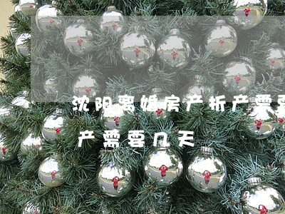 沈阳离婚房产析产需要几天(沈阳离婚房产析产需要几天)