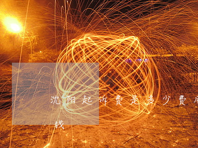 沈阳起诉费是多少费用(法院申诉费用要多少钱)
