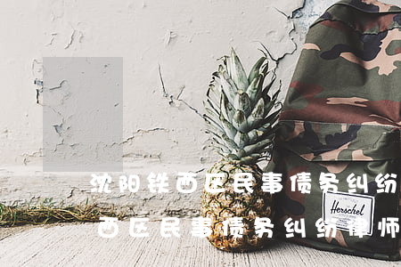 沈阳铁西区民事债务纠纷律师电话-沈阳铁西区民事债务纠纷律师电话号码