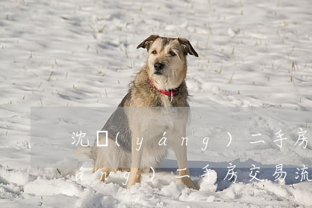 沈陽(yáng)二手房交易流程(沈陽(yáng)二手房交易流程及費(fèi)用5.3)