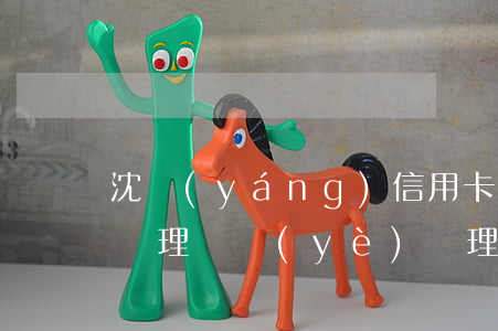 沈陽(yáng)信用卡逾期專業(yè)處理(專業(yè)處理信用卡逾期行業(yè))