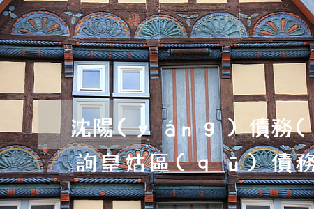 沈陽(yáng)債務(wù)律師在線咨詢（皇姑區(qū)債務(wù)律師費(fèi)用）