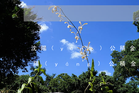 沈陽(yáng)公積金貸款信用卡透支(沈陽(yáng)公積金貸款中心)