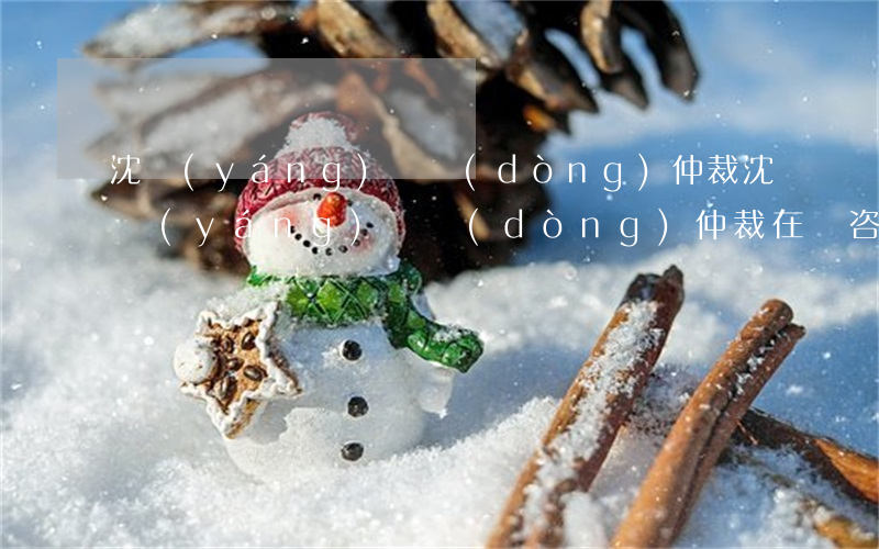 沈陽(yáng)勞動(dòng)仲裁(沈陽(yáng)勞動(dòng)仲裁在線咨詢)