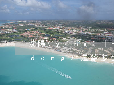 沈陽(yáng)十三號(hào)街動(dòng)遷給多少錢(qián)(沈陽(yáng)市中街動(dòng)遷規(guī)劃)