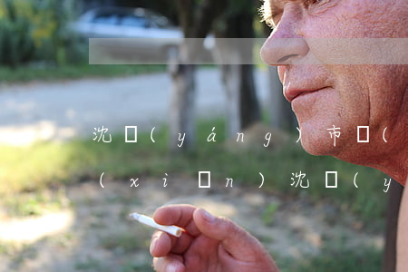 沈陽(yáng)市養(yǎng)老保險(xiǎn)，沈陽(yáng)市養(yǎng)老保險(xiǎn)個(gè)人賬戶(hù)查詢(xún)官網(wǎng)
