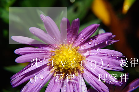 沈陽(yáng)張蕊律師(沈陽(yáng)張蕊律師辦理案件)