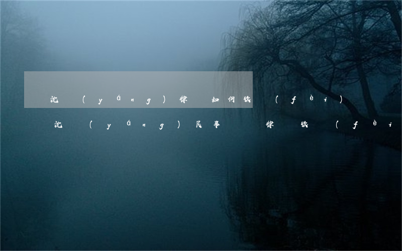 沈陽(yáng)律師如何收費(fèi)(沈陽(yáng)民事訴訟律師收費(fèi))