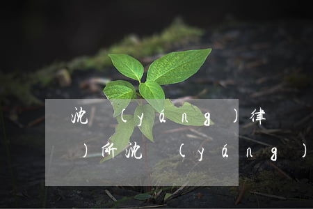 沈陽(yáng)律師張偉(律師事務(wù)所沈陽(yáng))
